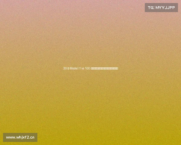 30 万 Model Y vs 100 万保时捷卡宴:实测结果让人大跌眼镜!